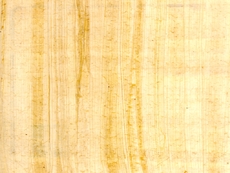 Papyrus 4.jpg